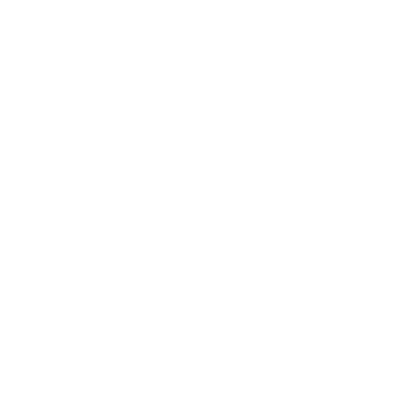 property handyman services logo upscaled white